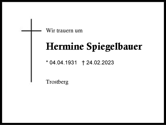 Traueranzeige von Hermine Spiegelbauer von Traunstein